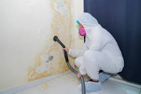 Best Residential Mold Inspection & Testing  in Midway, AR